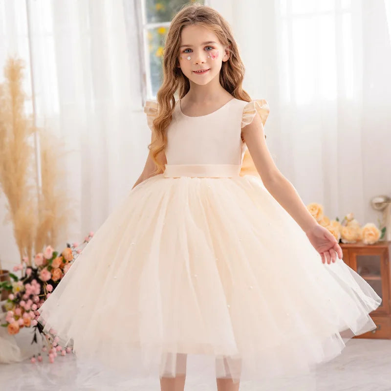 Girls Fairy Princess Dress