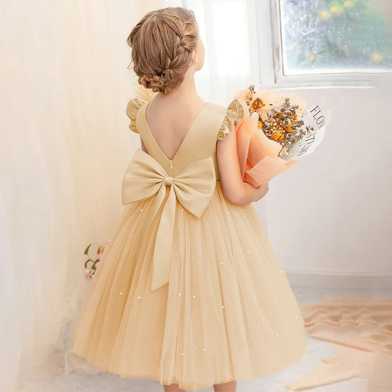 Girls Fairy Princess Dress